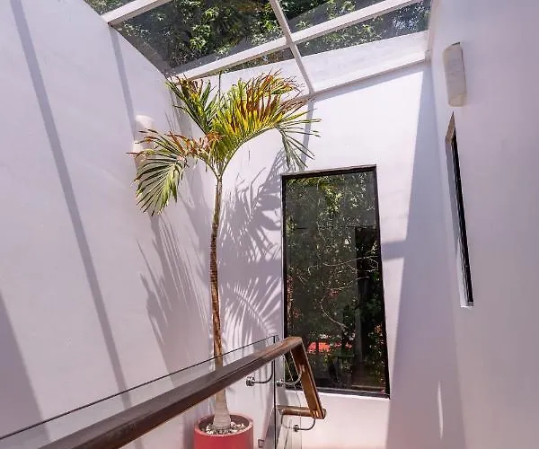 Casa Blanca In Coyoacan * México DF